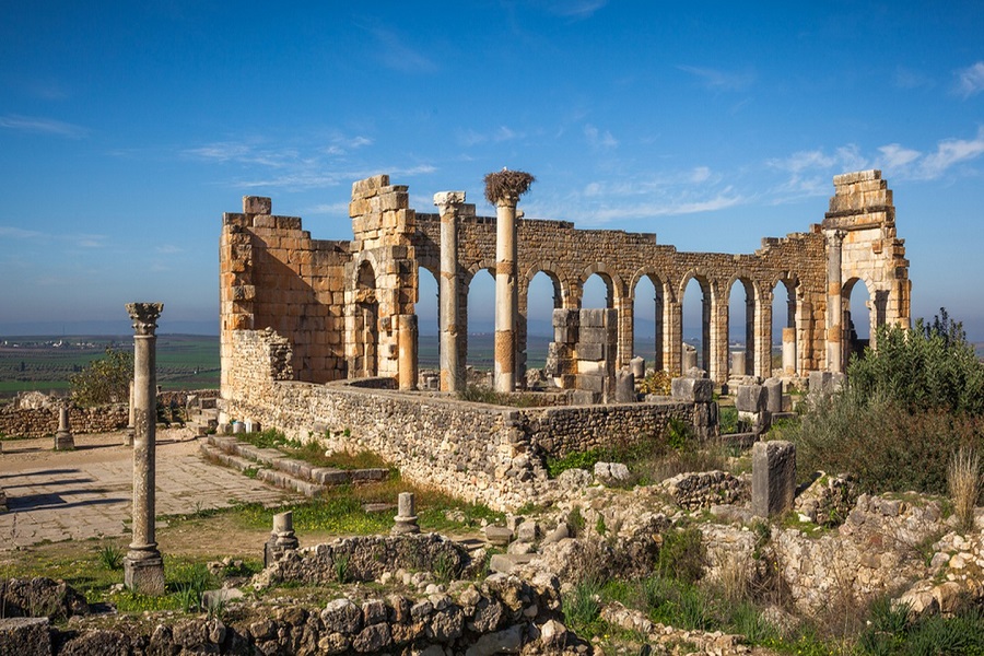 Excursion from Fes to Volubilis